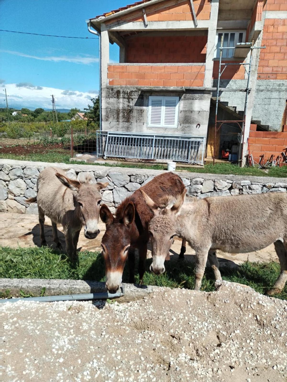 Holiday Home Anita Unesic Esterno foto