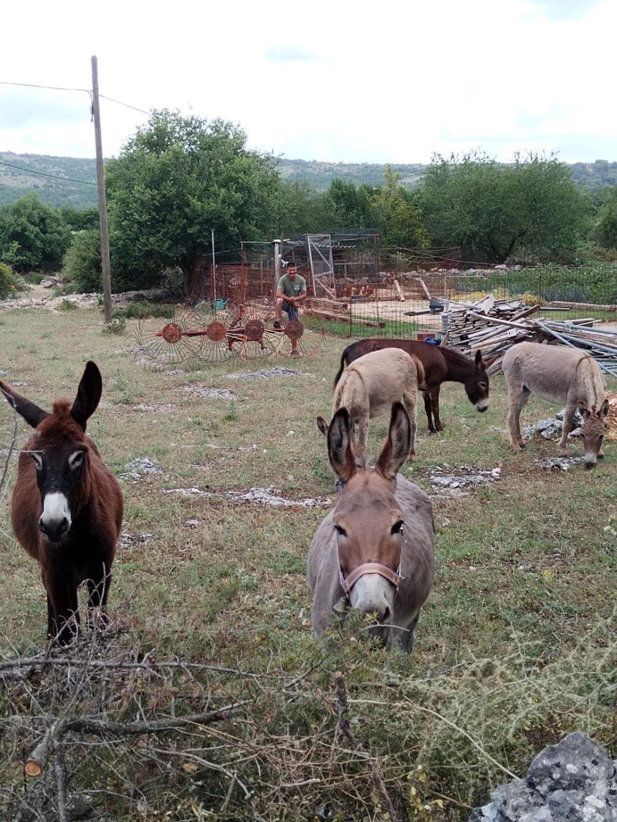 Holiday Home Anita Unesic Esterno foto